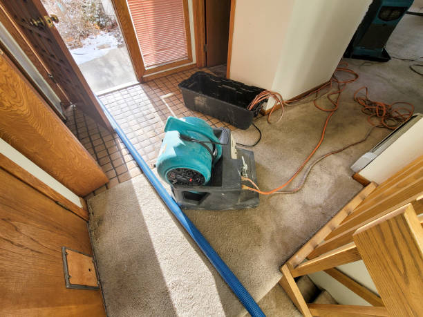 Best Sewage Cleanup and Restoration in Arbutus, MD